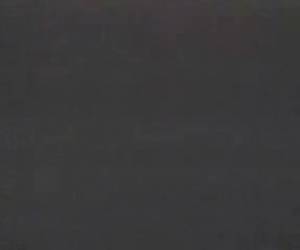 Cartoon neuken als konijnen