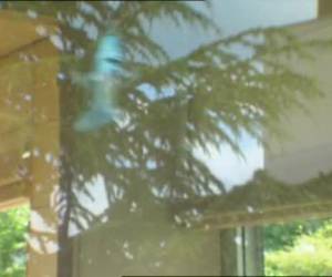 Een maffe reclame, maar wel geil